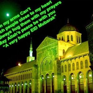 Meet your Posher, Saba